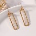 Gold Wrapped Resin Earring
